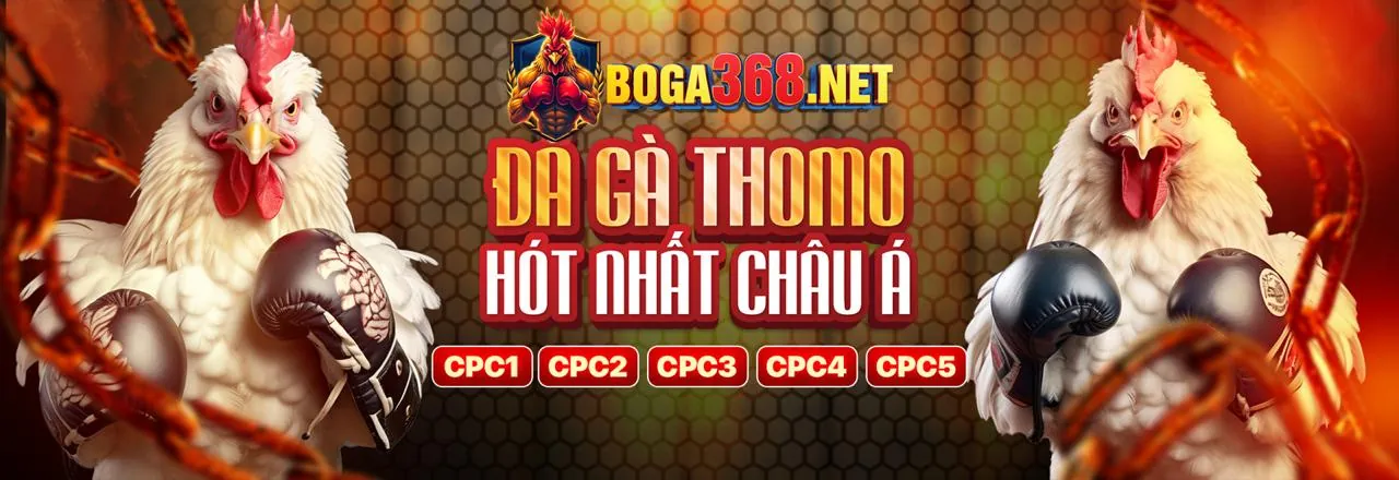 Thông báo nền tảng ok365
